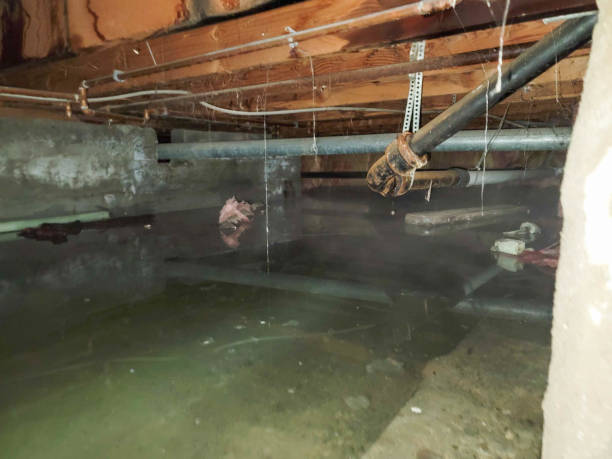Best Commercial water damage restoration  in Cedarhurst, NY