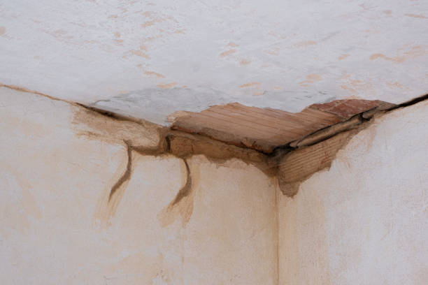Best Mold removal after water damage  in Cedarhurst, NY